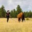 product - life coaching - boy with horse in field