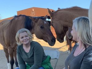 therapy session with horses